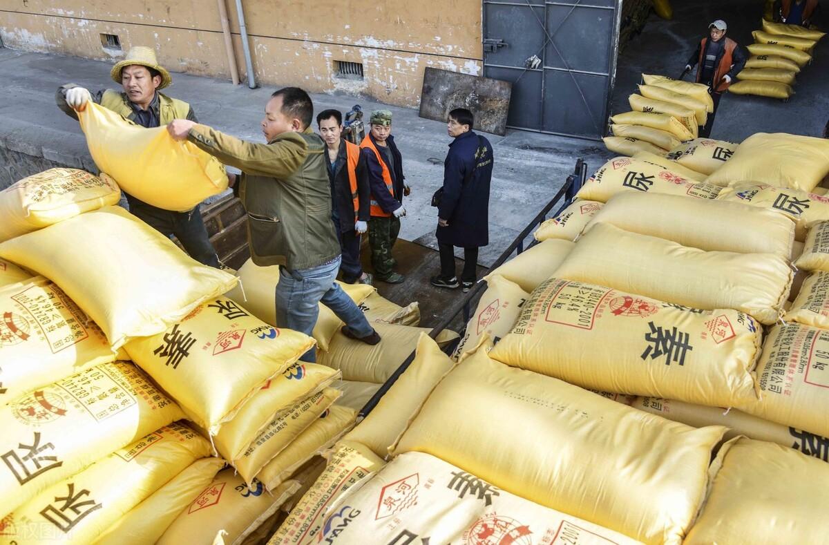 全國尿素最新價格，科技重塑生活下的新面貌