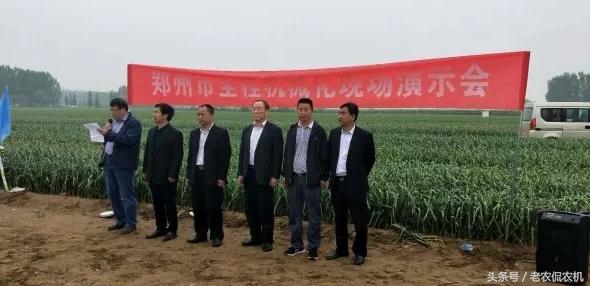 中牟大蒜最新價格揭秘，小巷深處的蒜香寶藏