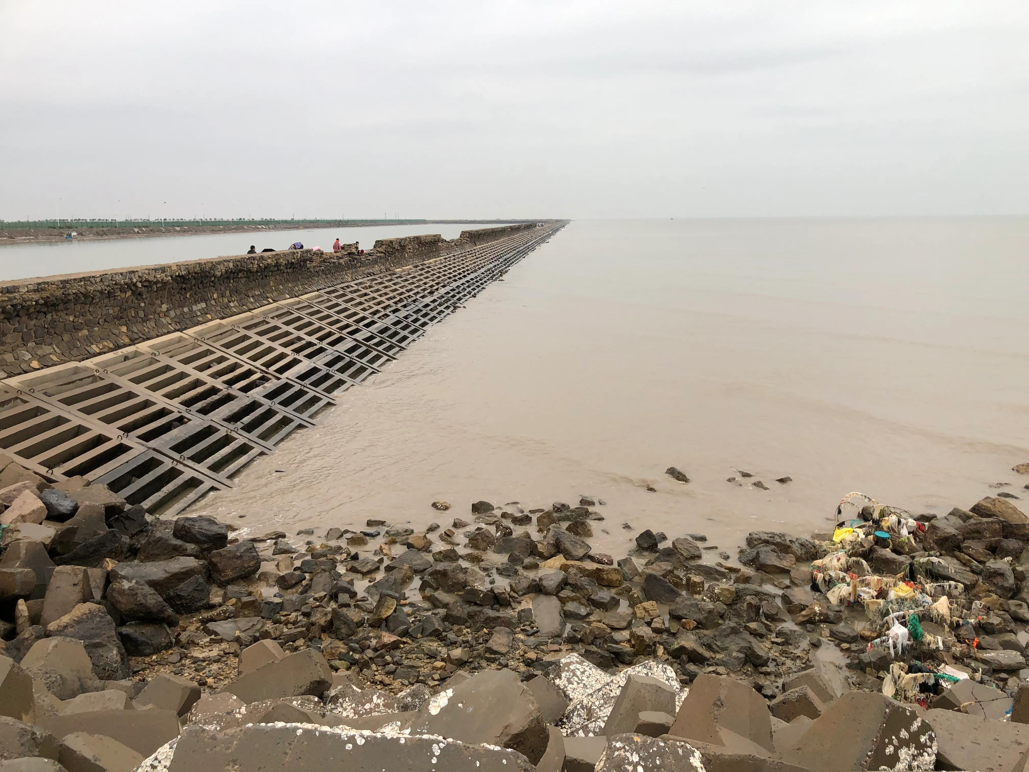黃驊港最新招聘動態(tài)，日常招聘故事與友情紐帶
