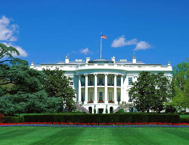 探索自然美景魅力的心靈之旅，最新紙品資訊與動態(tài)