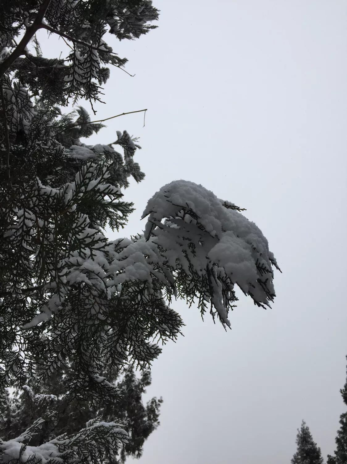 無錫馬山最新規(guī)劃揭秘，規(guī)劃下的生活日常探索