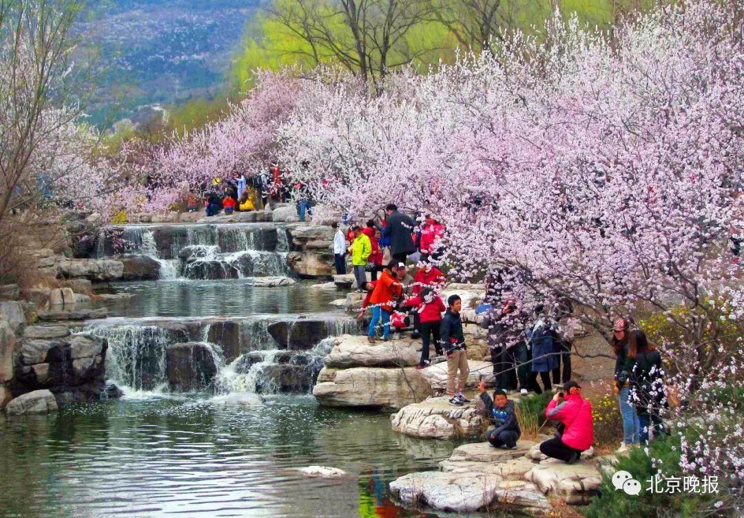 北京市天氣預(yù)報最新更新