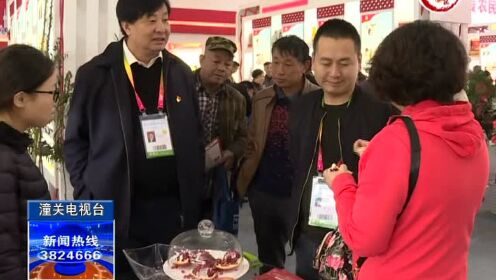 潼關(guān)最新新聞報(bào)道更新速遞