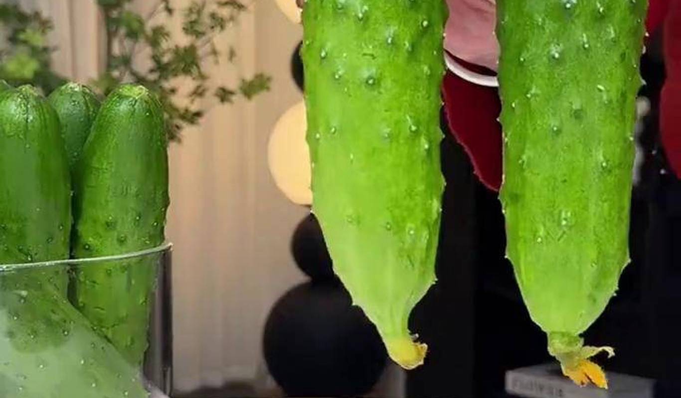 黃瓜視頻下載最新版，時(shí)代背景下短視頻巨頭的迅速崛起