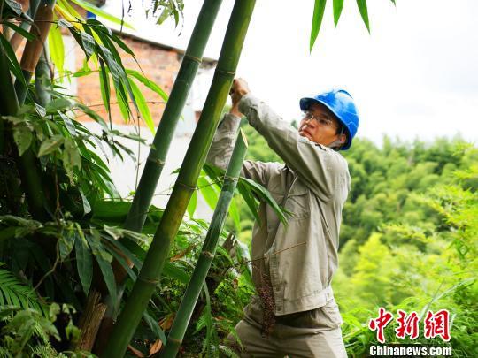 寧德臺(tái)風(fēng)最新動(dòng)態(tài)，科技智能守護(hù)安全前沿