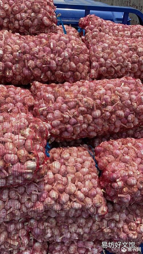 邳州大蒜最新價(jià)格行情指南，了解大蒜市場(chǎng)趨勢(shì)與價(jià)格變動(dòng)