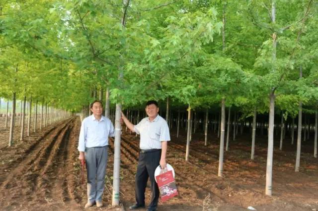 智能苗木管家，科技引領(lǐng)綠色新生活，最新苗木求購消息一網(wǎng)打盡