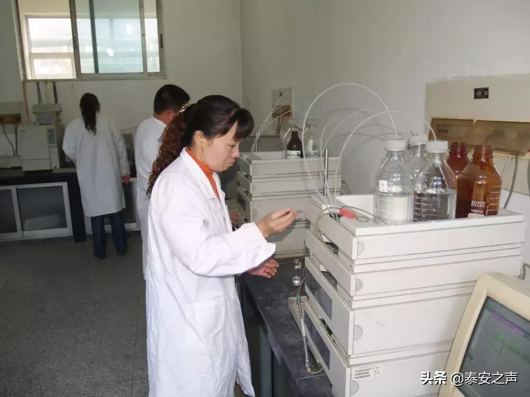 化工最新招聘，友情與夢想的啟程之旅