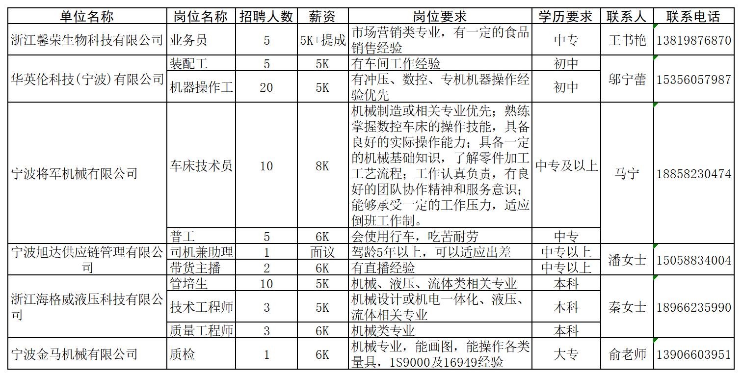 寧波最新招聘信息與溫暖招聘故事，友情的紐帶，家的溫馨