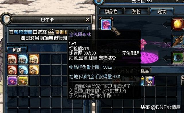 DNF最新寵物重磅上線，科技之巔，極致體驗寵物的誕生