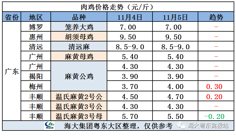 廣東雞價最新行情，心靈與自然的旅行交響曲