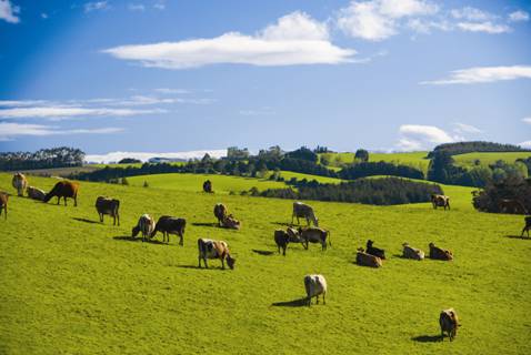 時(shí)代見(jiàn)證，最新牧場(chǎng)及其背景與重大事件概覽