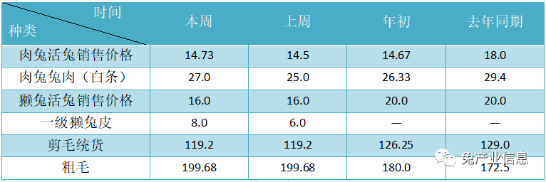 獺兔價(jià)格最新行情揭秘，溫情故事在兔子洞展開