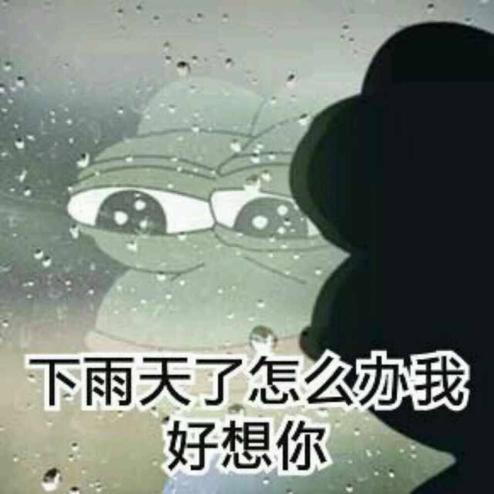 微信下雨表情包，網(wǎng)絡(luò)文化現(xiàn)象的深度探析