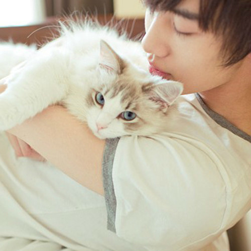 溫馨抱貓日常，最新流行情頭，感受人與貓的深情瞬間