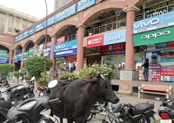 部落沖突OPPO最新版深度解析，優(yōu)劣與我的觀點(diǎn)分享