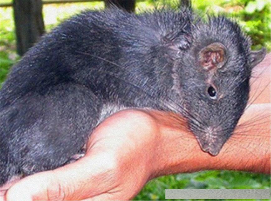 穿越火線4月探索自然美景活動(dòng)，尋找內(nèi)心的平和與寧?kù)o之旅