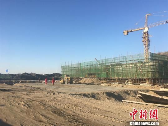 唐山豐南港最新動態(tài)，港口邊的溫情故事