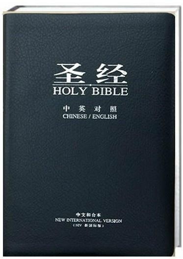 圣經(jīng)最新版本，科技與信仰的交融之作