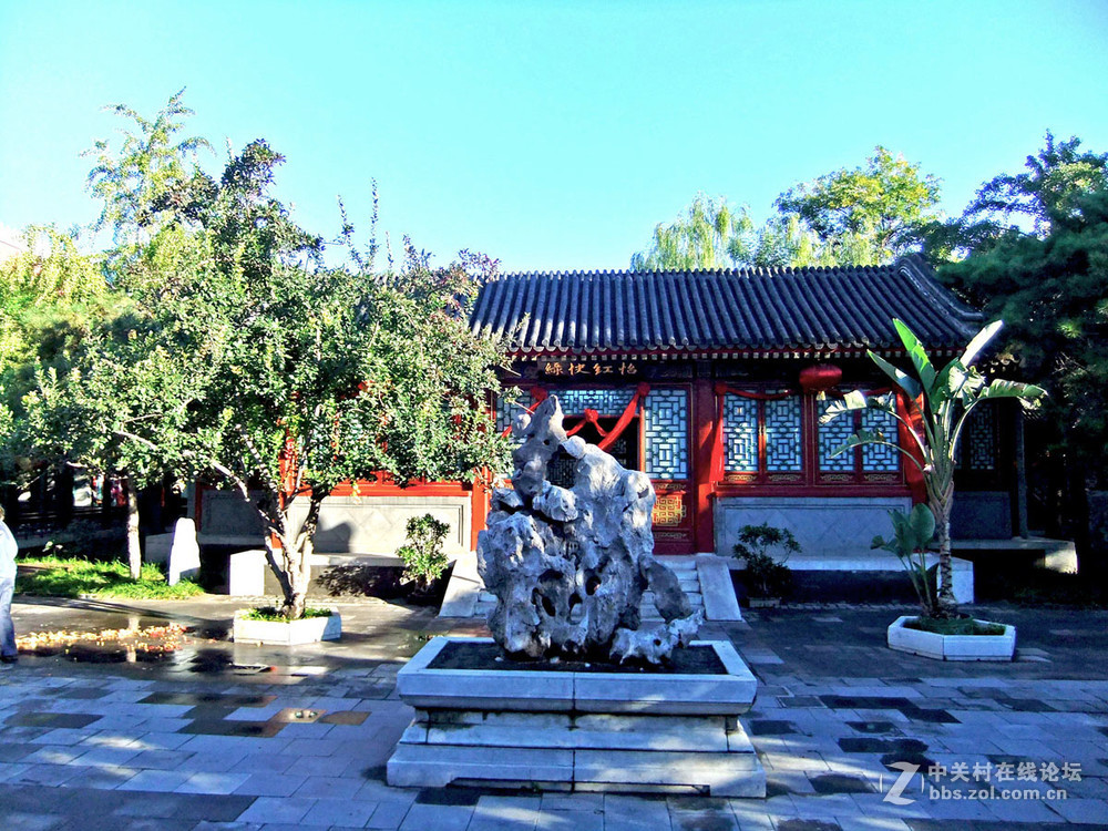 最新怡春院手機在線，日常趣事與情感紐帶連接的世界