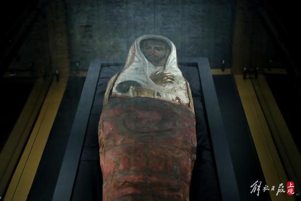 科技前沿，布醫(yī)無(wú)名的新產(chǎn)品革新與體驗(yàn)革新最新章節(jié)