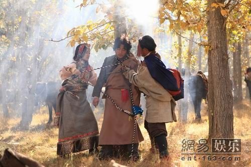 最新藏族電視劇全集盤點(diǎn)