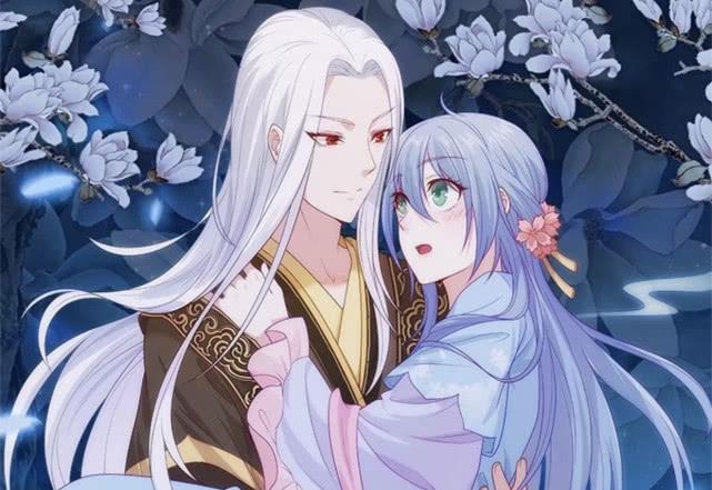 侯門(mén)寵妻，古代豪門(mén)婚姻生活的深度解讀最新章節(jié)解析