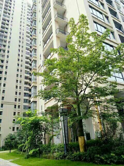 力沃幸福里最新動態(tài)，學(xué)習(xí)變化，成就自信與幸福之源