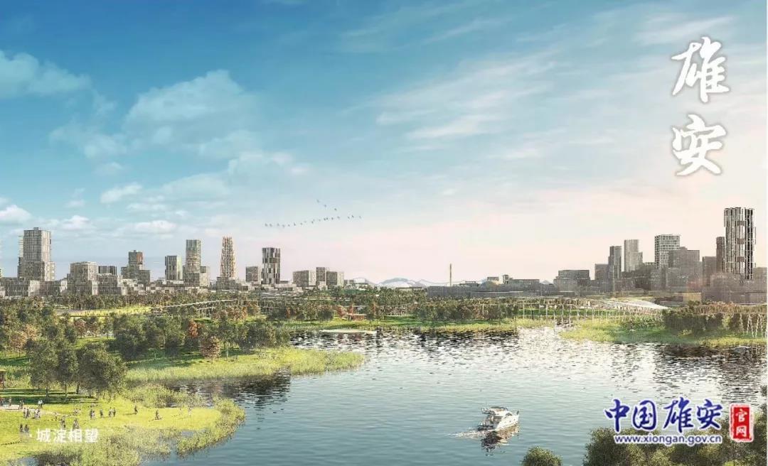 雄安新區(qū)論壇熱議，變化中的自信與成就感的碰撞