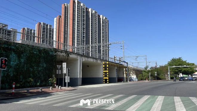 茂名最新動(dòng)態(tài)，蓬勃發(fā)展的城市關(guān)注焦點(diǎn)