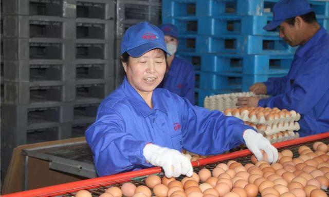 太仆寺旗寶昌最新房?jī)r(jià)，家的溫暖與房地產(chǎn)市場(chǎng)動(dòng)態(tài)