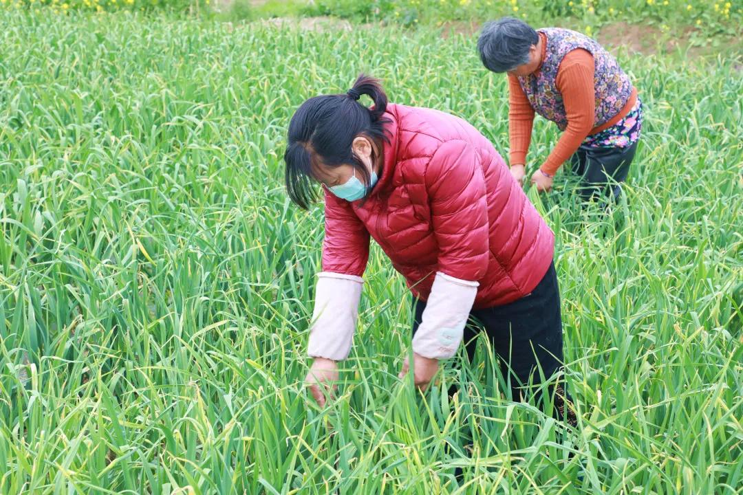 徐州豐縣最新招工信息一覽，獲取指南與招聘信息匯總