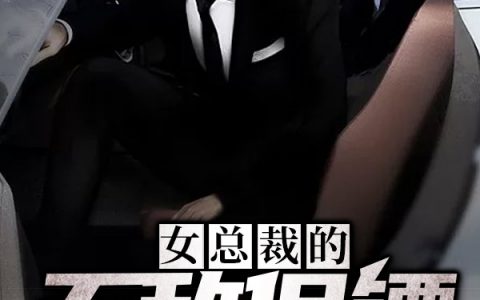 唐心怡蘇浩然小說(shuō)最新進(jìn)展深度解析，新篇章揭秘