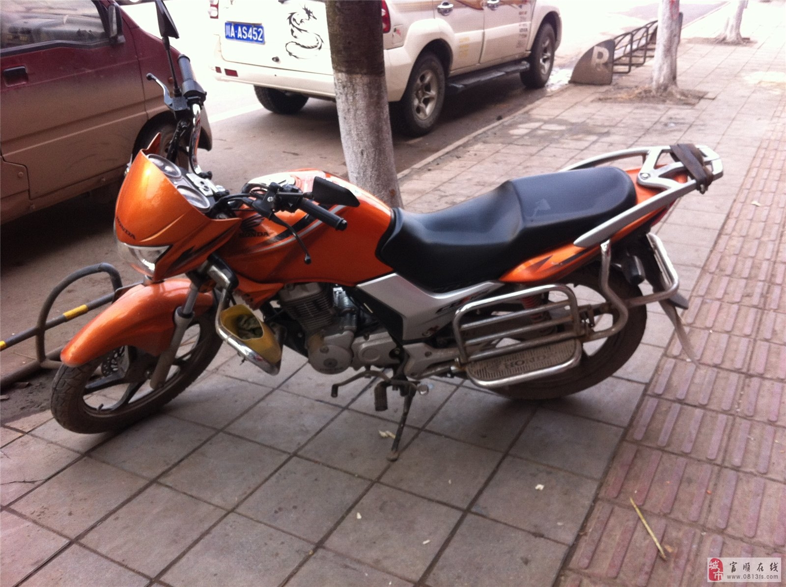 本田小戰(zhàn)鷹最新款，全面觀點論述與深度解析