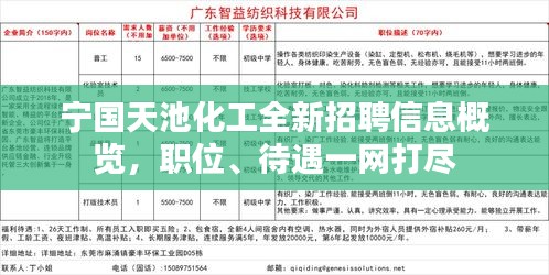 寧國白班最新招聘信息，職業(yè)繁榮與機(jī)遇在時代背景下的展現(xiàn)