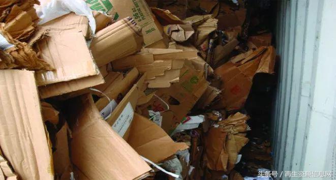 進(jìn)口廢紙最新政策下的隱秘寶藏探索，特色小店探秘之旅