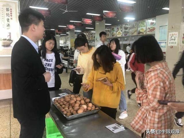 河南洛陽雞蛋最新價格及分析