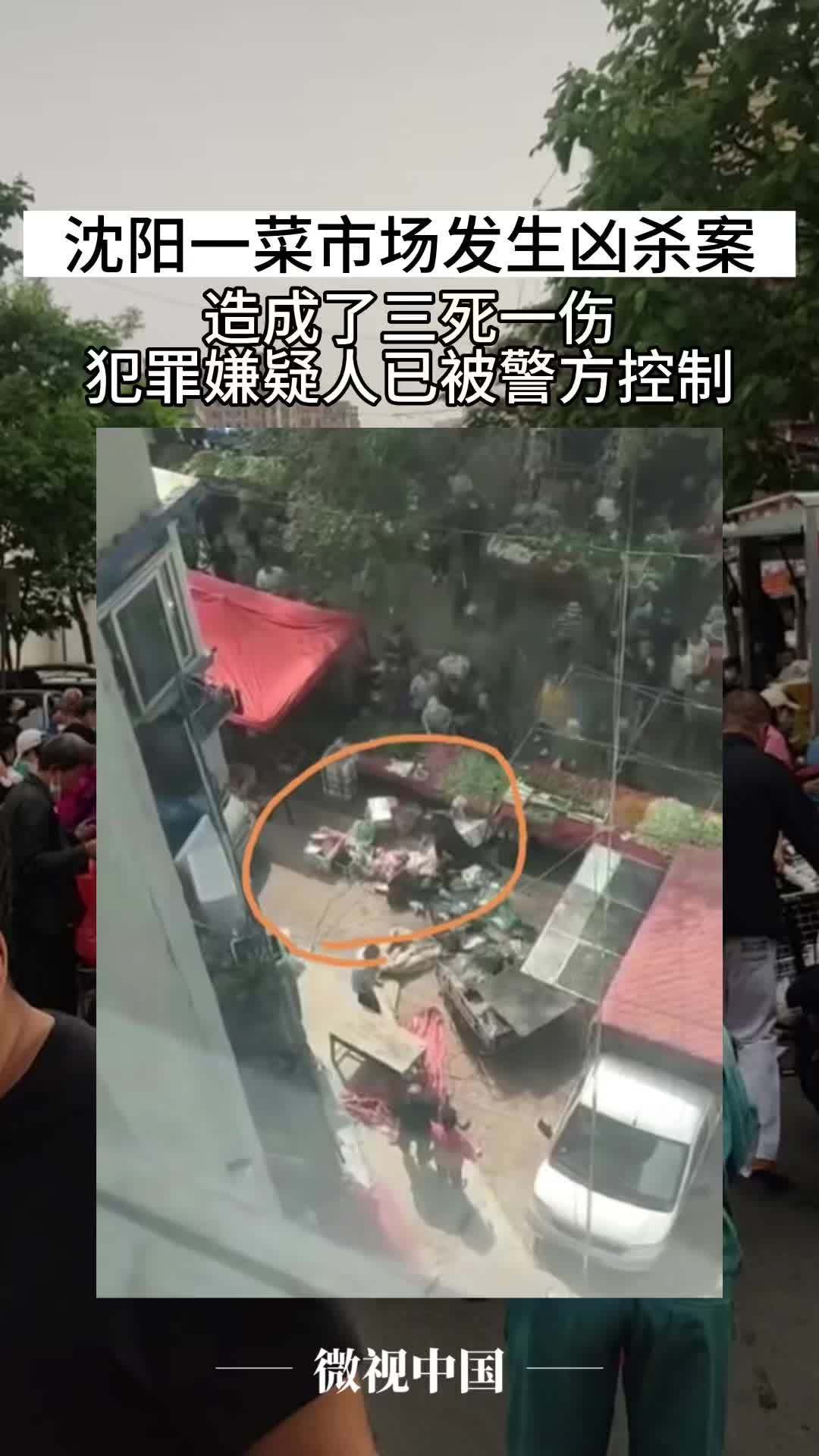 沈陽(yáng)因果最新附體視頻觀點(diǎn)論述,揭秘與解析現(xiàn)象背后的真相