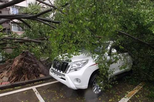 臺(tái)風(fēng)帕卡最新路徑及巷弄中的神秘饕餮之旅
