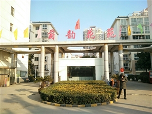 最新社旗獨(dú)家小院出售，市場趨勢、正反觀點(diǎn)分析與個(gè)人立場探討