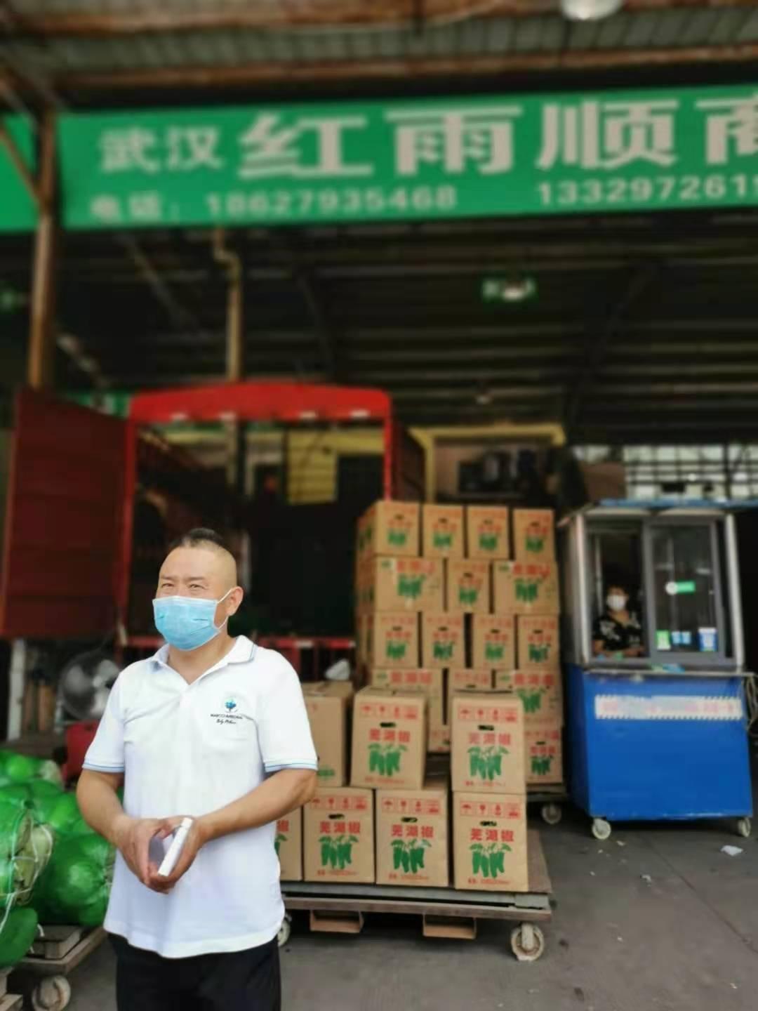 今日包菜價(jià)格行情更新