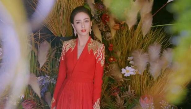 佟麗婭最新新聞，獲取與解讀明星資訊的步驟指南