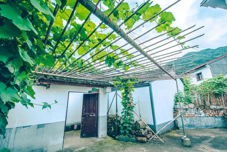 神級茶人最新章節(jié)，探尋自然美景之旅，追尋內(nèi)心平靜之道