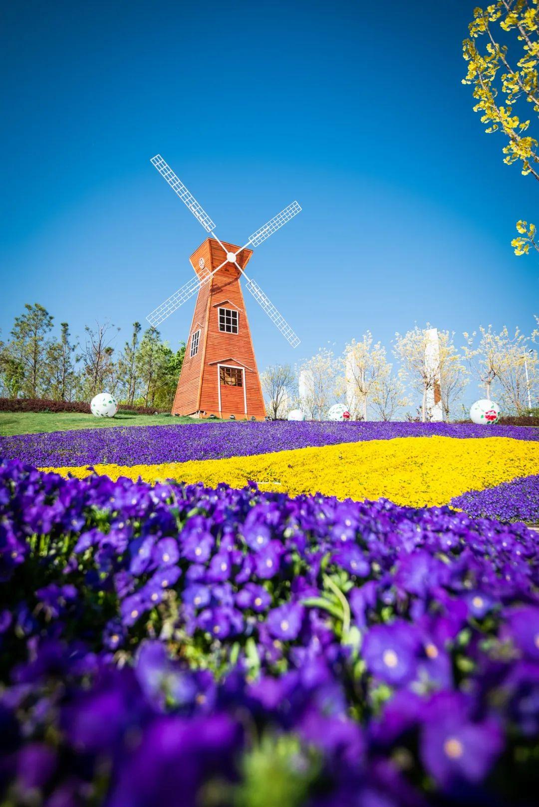 滎陽市最新房?jī)r(jià)動(dòng)態(tài)，時(shí)代印記與城市的脈絡(luò)