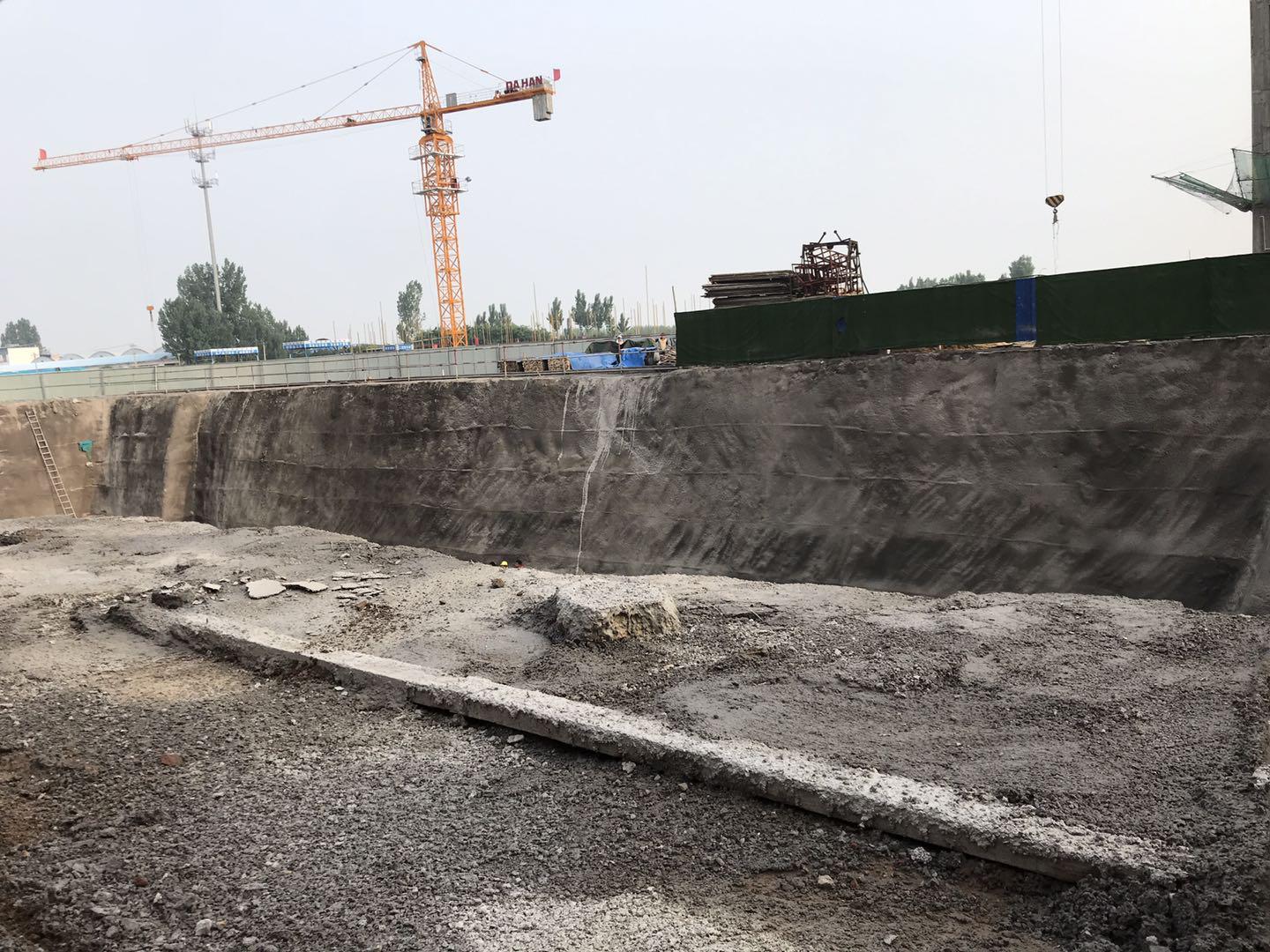 鵬洲麗城最新動態(tài)揭秘，小巷中的隱藏瑰寶