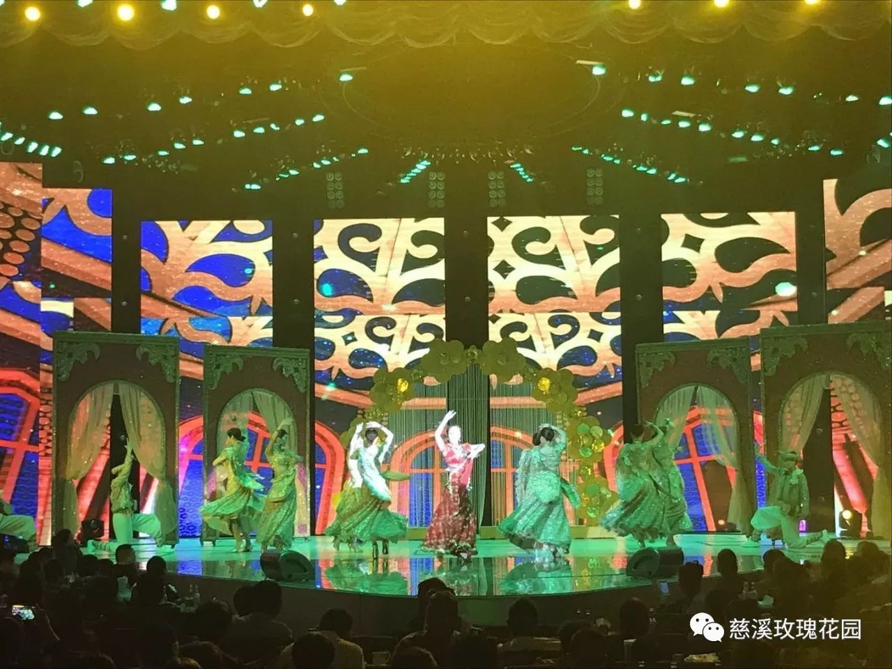 慈溪玫瑰花園最新視頻，綻放的玫瑰盛世美景