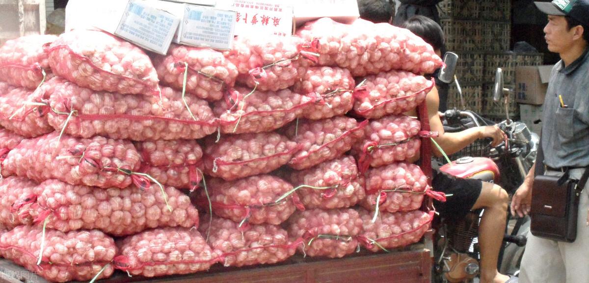 金鄉(xiāng)縣大蒜最新價格揭秘，小巷深處的蒜香寶藏