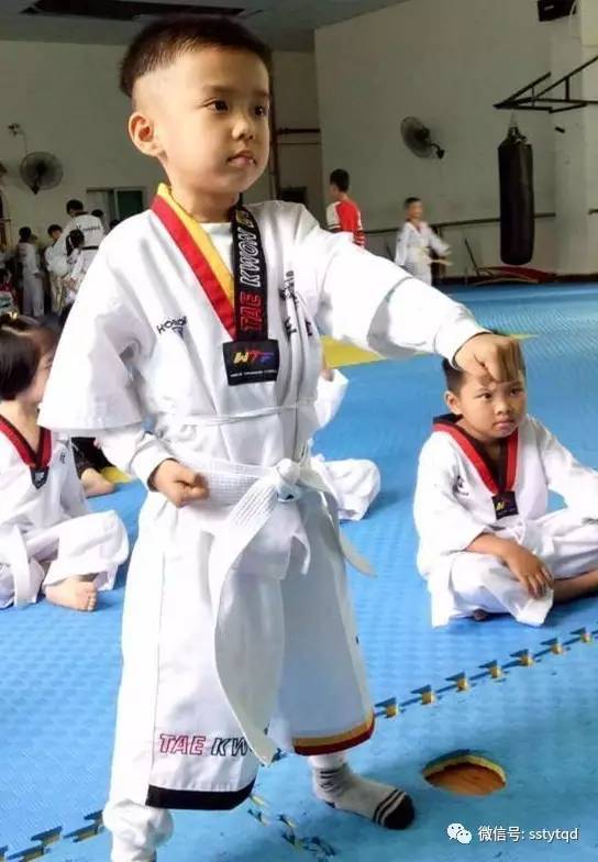 最新跆拳道上課流程，自信與成就感的源泉